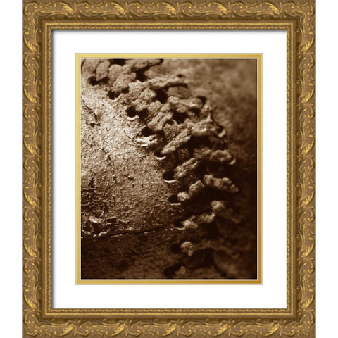 Summer Ball II Gold Ornate Wood Framed Art Print with Double Matting by Larson, Scott