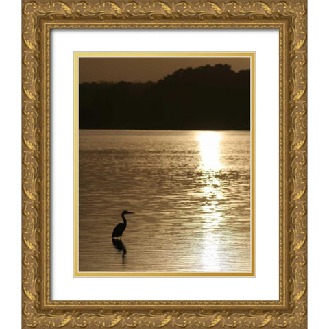 Estuary IV Gold Ornate Wood Framed Art Print with Double Matting by Larson, Scott