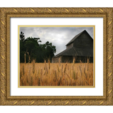 Harvest Time I Gold Ornate Wood Framed Art Print with Double Matting by Larson, Scott