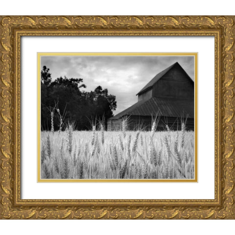 Harvest Time II Gold Ornate Wood Framed Art Print with Double Matting by Larson, Scott