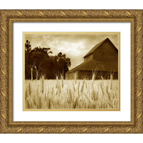 Harvest Time III Gold Ornate Wood Framed Art Print with Double Matting by Larson, Scott
