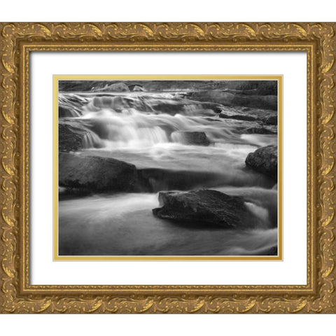Moving Water I Gold Ornate Wood Framed Art Print with Double Matting by Larson, Scott