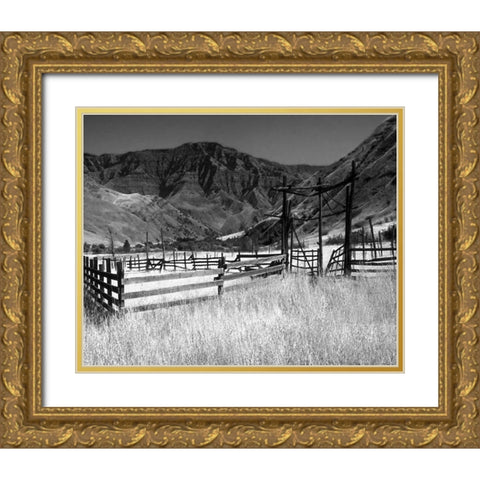 Summer Corral I Gold Ornate Wood Framed Art Print with Double Matting by Larson, Scott