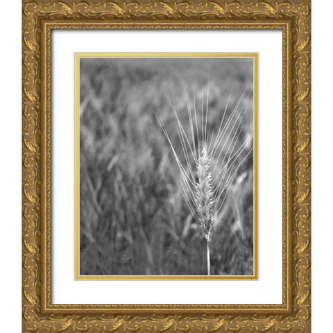 Turning Grain III Gold Ornate Wood Framed Art Print with Double Matting by Larson, Scott