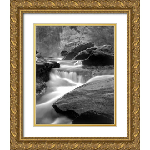 Moving Water IV Gold Ornate Wood Framed Art Print with Double Matting by Larson, Scott