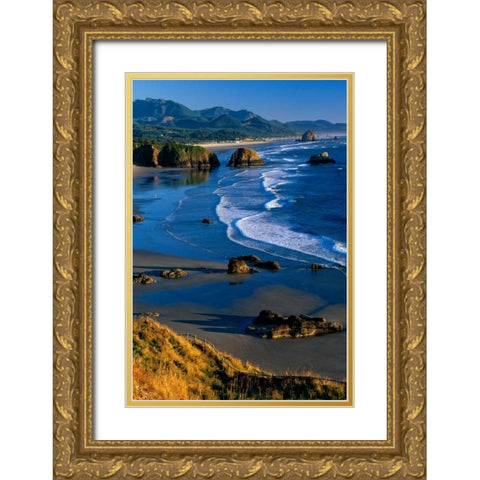 Ecola State Park II Gold Ornate Wood Framed Art Print with Double Matting by Leahy, Ike
