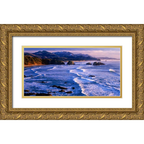 Ecola State Park IV Gold Ornate Wood Framed Art Print with Double Matting by Leahy, Ike