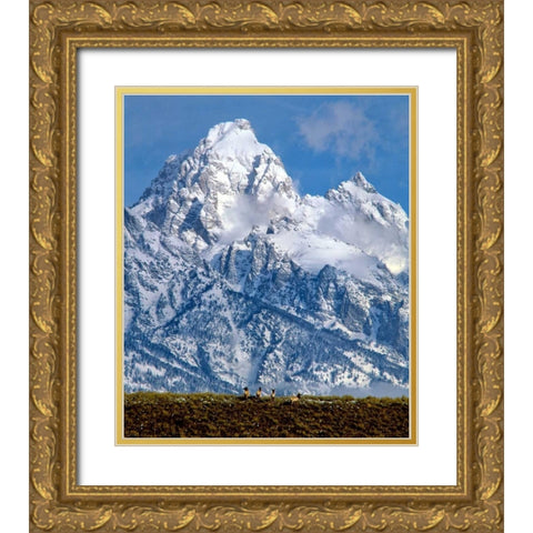 Grand Teton National Park V Gold Ornate Wood Framed Art Print with Double Matting by Leahy, Ike