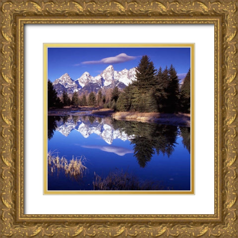 Grand Teton National Park VII Gold Ornate Wood Framed Art Print with Double Matting by Leahy, Ike