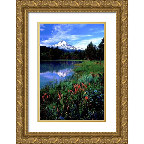 Mt. Hood III Gold Ornate Wood Framed Art Print with Double Matting by Leahy, Ike