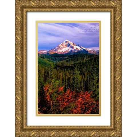 Mt. Hood IV Gold Ornate Wood Framed Art Print with Double Matting by Leahy, Ike