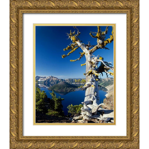 Crater Lake I Gold Ornate Wood Framed Art Print with Double Matting by Leahy, Ike