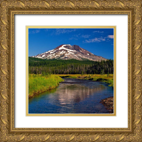 South Sister VI Gold Ornate Wood Framed Art Print with Double Matting by Leahy, Ike