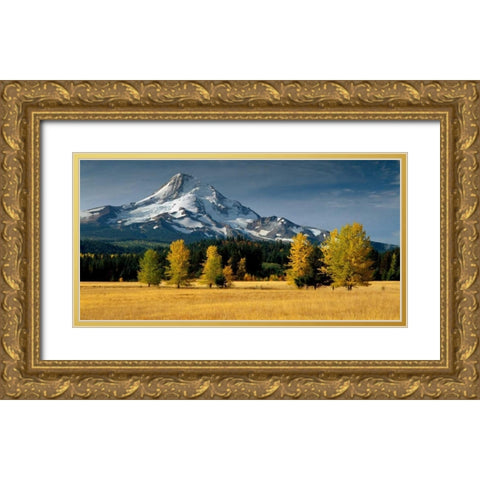 Mt. Hood IX Gold Ornate Wood Framed Art Print with Double Matting by Leahy, Ike
