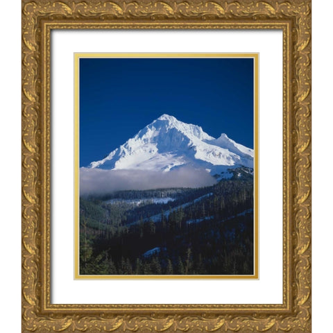 Mt. Hood XIII Gold Ornate Wood Framed Art Print with Double Matting by Leahy, Ike