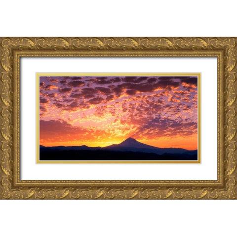 Mt. Hood XXIII Gold Ornate Wood Framed Art Print with Double Matting by Leahy, Ike