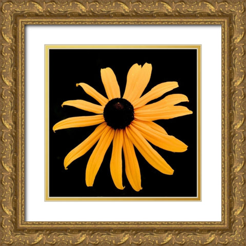 Rebecca Daisy Gold Ornate Wood Framed Art Print with Double Matting by Leahy, Ike