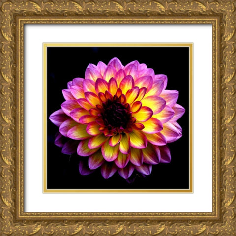 Dahlia Gold Ornate Wood Framed Art Print with Double Matting by Leahy, Ike