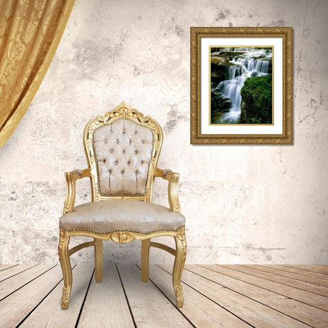 Lost Creek Falls Gold Ornate Wood Framed Art Print with Double Matting by Leahy, Ike