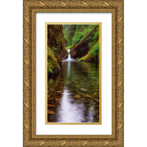 Punch Bowl Falls Gold Ornate Wood Framed Art Print with Double Matting by Leahy, Ike