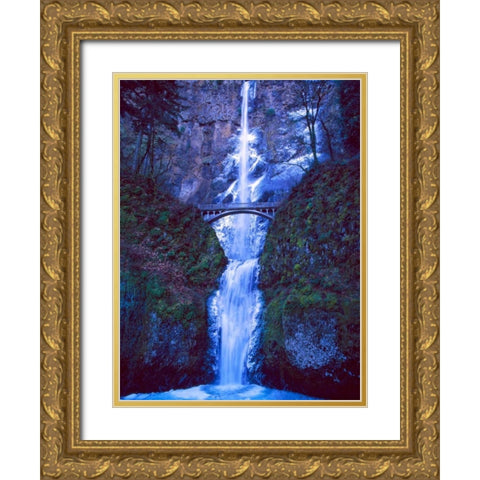 Multnomah Falls Winter Gold Ornate Wood Framed Art Print with Double Matting by Leahy, Ike