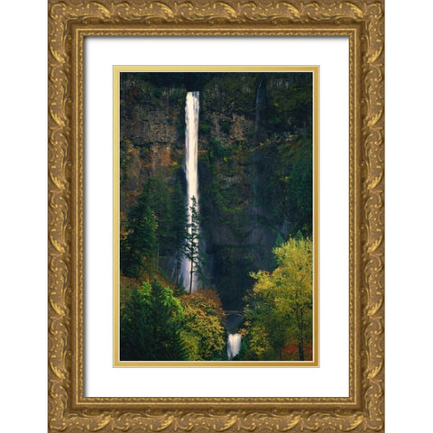 Multnomah Falls Autumn Gold Ornate Wood Framed Art Print with Double Matting by Leahy, Ike