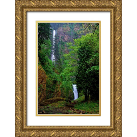 Multnomah Falls Spring Gold Ornate Wood Framed Art Print with Double Matting by Leahy, Ike