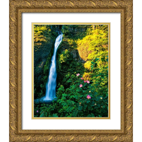 Horse Tail Falls Gold Ornate Wood Framed Art Print with Double Matting by Leahy, Ike