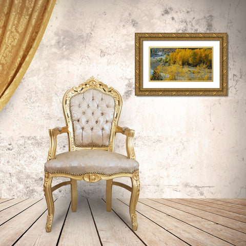 Hood River RR Bridge Gold Ornate Wood Framed Art Print with Double Matting by Leahy, Ike