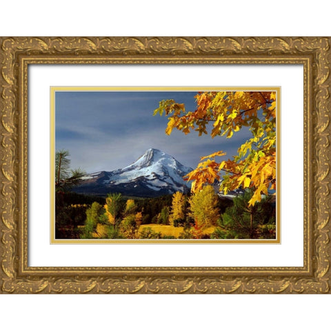 Mt. Hood Parkdale Gold Ornate Wood Framed Art Print with Double Matting by Leahy, Ike