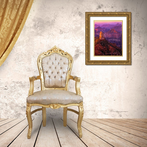 Mt. Hayden I Gold Ornate Wood Framed Art Print with Double Matting by Leahy, Ike