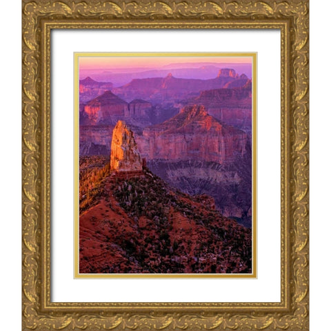 Mt. Hayden I Gold Ornate Wood Framed Art Print with Double Matting by Leahy, Ike