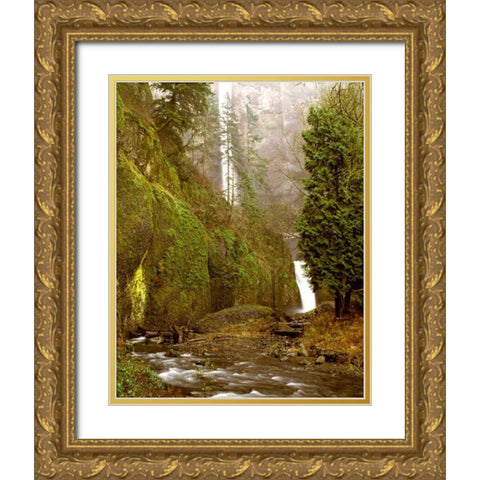 Multnomah Falls Creek Side Gold Ornate Wood Framed Art Print with Double Matting by Leahy, Ike