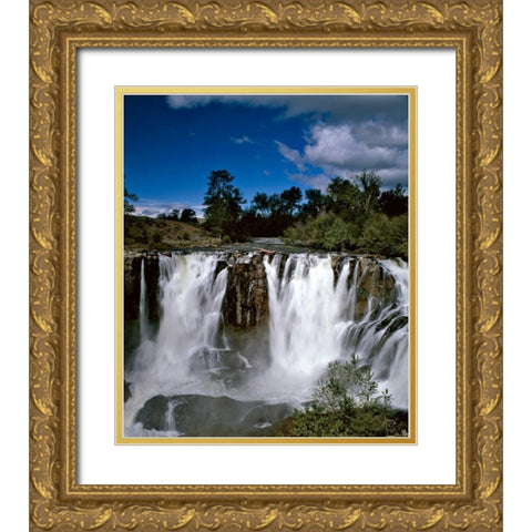 Oregon Niagara Gold Ornate Wood Framed Art Print with Double Matting by Leahy, Ike