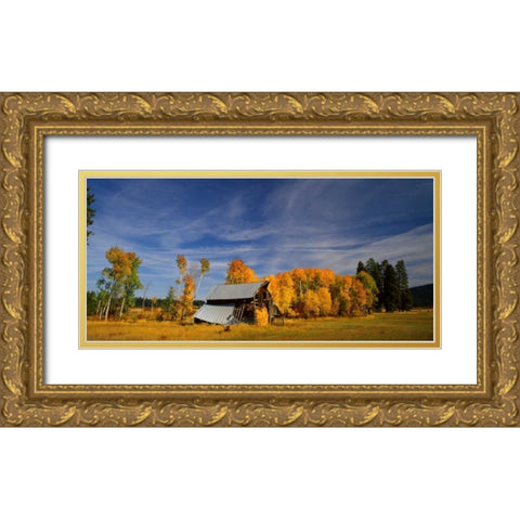 Old Barn Gold Ornate Wood Framed Art Print with Double Matting by Leahy, Ike