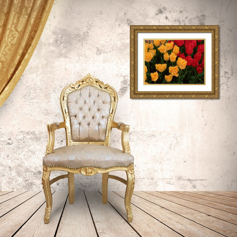 Tulips Gold Ornate Wood Framed Art Print with Double Matting by Leahy, Ike