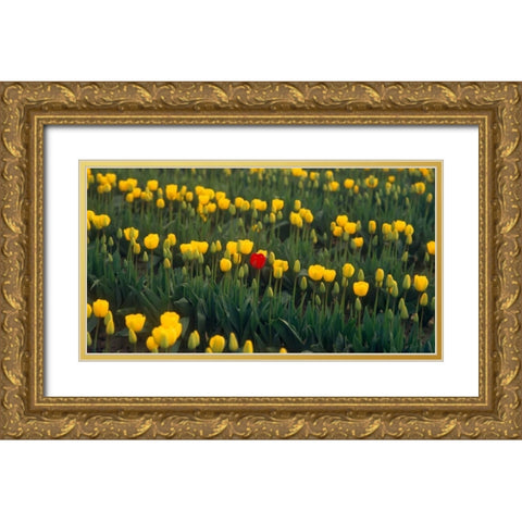 Me Gold Ornate Wood Framed Art Print with Double Matting by Leahy, Ike