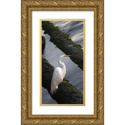 White Crane Gold Ornate Wood Framed Art Print with Double Matting by Leahy, Ike