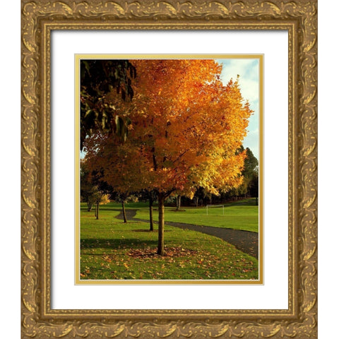 Fall Soccer Gold Ornate Wood Framed Art Print with Double Matting by Leahy, Ike
