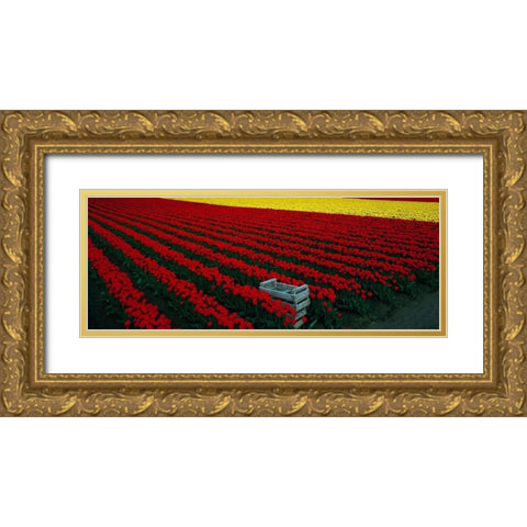 Spring Tulips Gold Ornate Wood Framed Art Print with Double Matting by Leahy, Ike