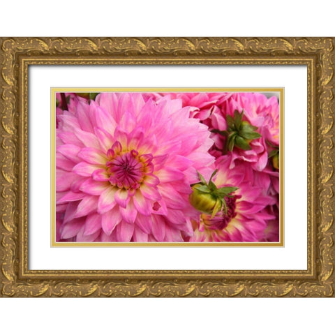Spring Garden II Gold Ornate Wood Framed Art Print with Double Matting by Love, Maureen