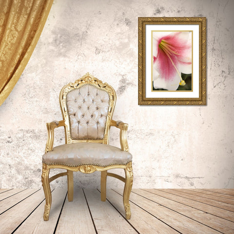 Soft Pink Lily II Gold Ornate Wood Framed Art Print with Double Matting by Love, Maureen