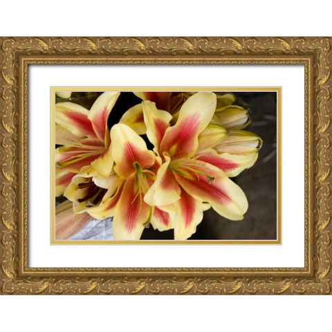Vanilla Lily I Gold Ornate Wood Framed Art Print with Double Matting by Love, Maureen