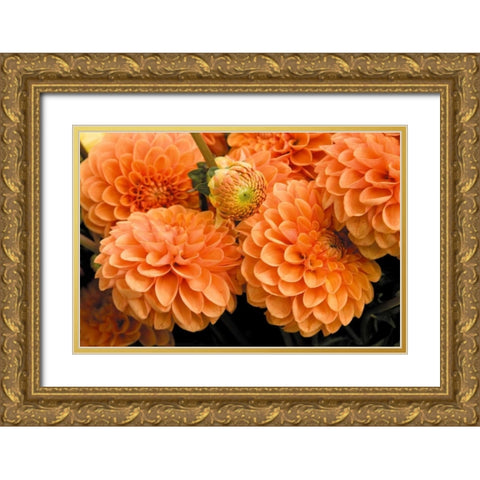 Peach Dalhia I Gold Ornate Wood Framed Art Print with Double Matting by Love, Maureen