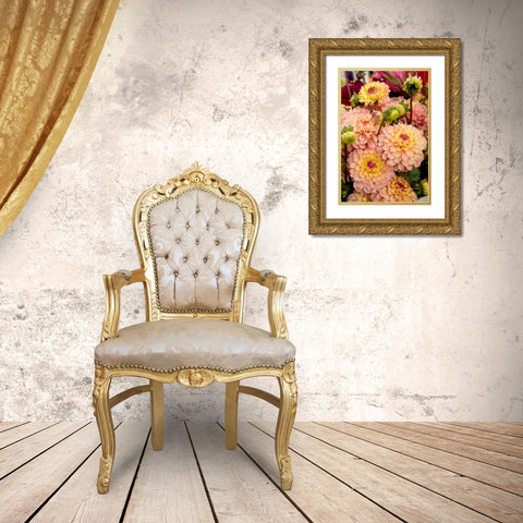 Mauve Dalhia I Gold Ornate Wood Framed Art Print with Double Matting by Love, Maureen