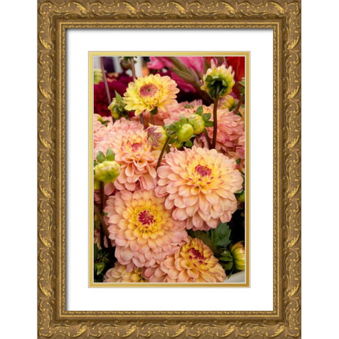 Mauve Dalhia I Gold Ornate Wood Framed Art Print with Double Matting by Love, Maureen