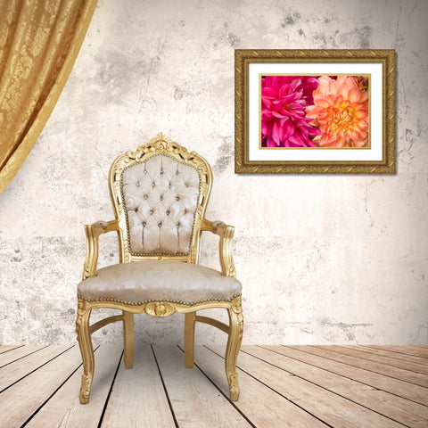 Fuschia Dalhia IV Gold Ornate Wood Framed Art Print with Double Matting by Love, Maureen