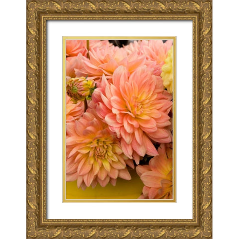 Peach Dalhia III Gold Ornate Wood Framed Art Print with Double Matting by Love, Maureen