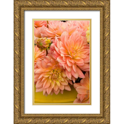 Peach Dalhia IV Gold Ornate Wood Framed Art Print with Double Matting by Love, Maureen