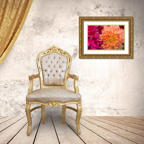 Fuschia Dalhia V Gold Ornate Wood Framed Art Print with Double Matting by Love, Maureen